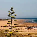 Apartamento Duplex En Conil