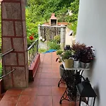 Ohana Campo