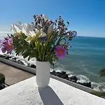 Sea Breeze